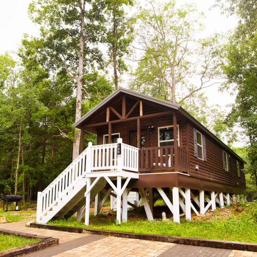 A small elevated wooden cabin with white railings, surrounded by trees and greenery, featuring a front porch and stairs leading up to the entrance.