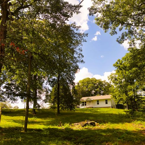 A white house sits on a grassy hill surrounded by large trees under a bright blue sky with some clouds.