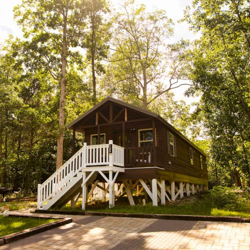 A wooden cabin elevated on stilts with white railings and a staircase, surrounded by dense trees and greenery, bathed in sunlight.