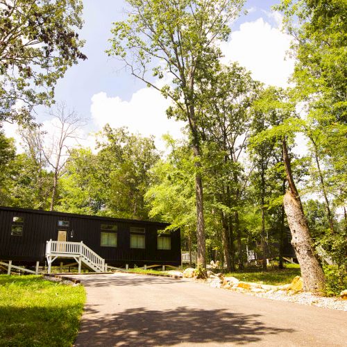 A small, dark-colored cabin is nestled in a forested area, with a pathway leading to it and surrounded by tall trees and lush greenery.