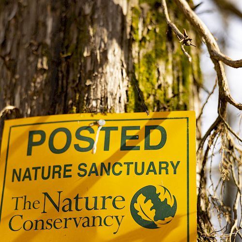 A yellow sign posted on a tree reads 