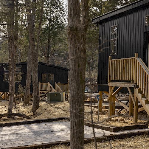 Several small black cabins with wooden staircases are nestled among trees, connected by a paved walkway, in a forested area.