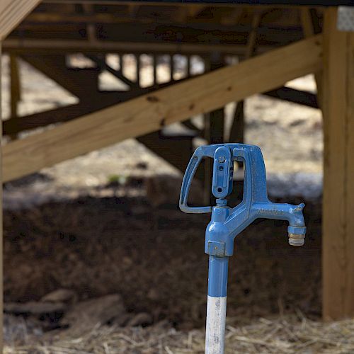 A blue outdoor water faucet is mounted on a post, positioned near wooden beams and dirt.