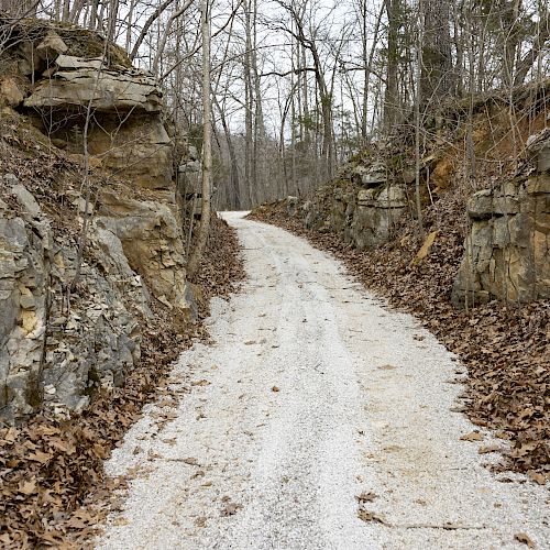 A narrow, gravel path winds through a rocky landscape surrounded by leafless trees and fallen leaves, suggesting a winter or late autumn setting.