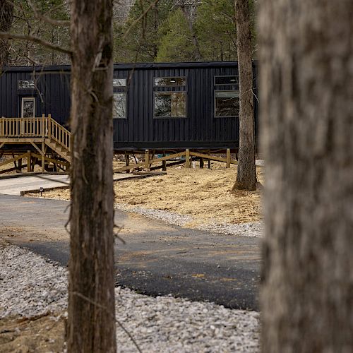 A black container-style cabin is nestled in a forest, accessible via a paved path, with wooden stairs leading to its entrance.