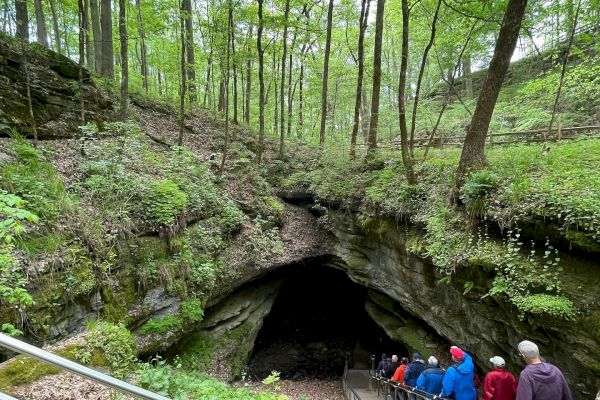 People are walking down a stairway into a large cave entrance in a wooded area, surrounded by lush green trees and vegetation.